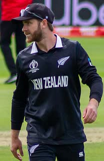 Kane Williamson portrait